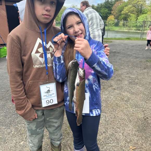 Pop-Up Live Share Shows - Picture 6 of 13